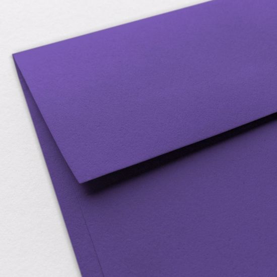 Lilac Purple